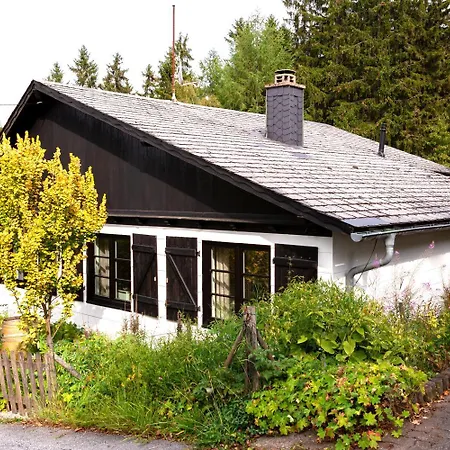 Komfort-ferienhaus Waldchalet - Ideal Fuer Saunaliebhaber Willingen (Upland)
