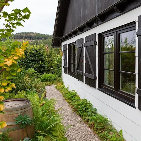 Komfort-ferienhaus Waldchalet - Ideal Fuer Saunaliebhaber Holiday home